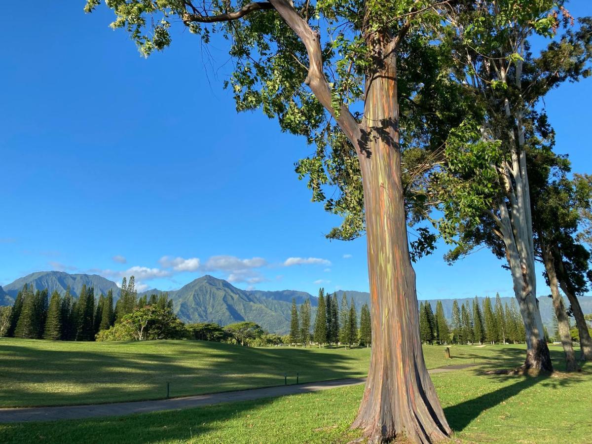 Puu Poa Ocean Bluff Condo, Incredible Views, Walk To Beaches, Pool & Tennis Princeville Exterior photo