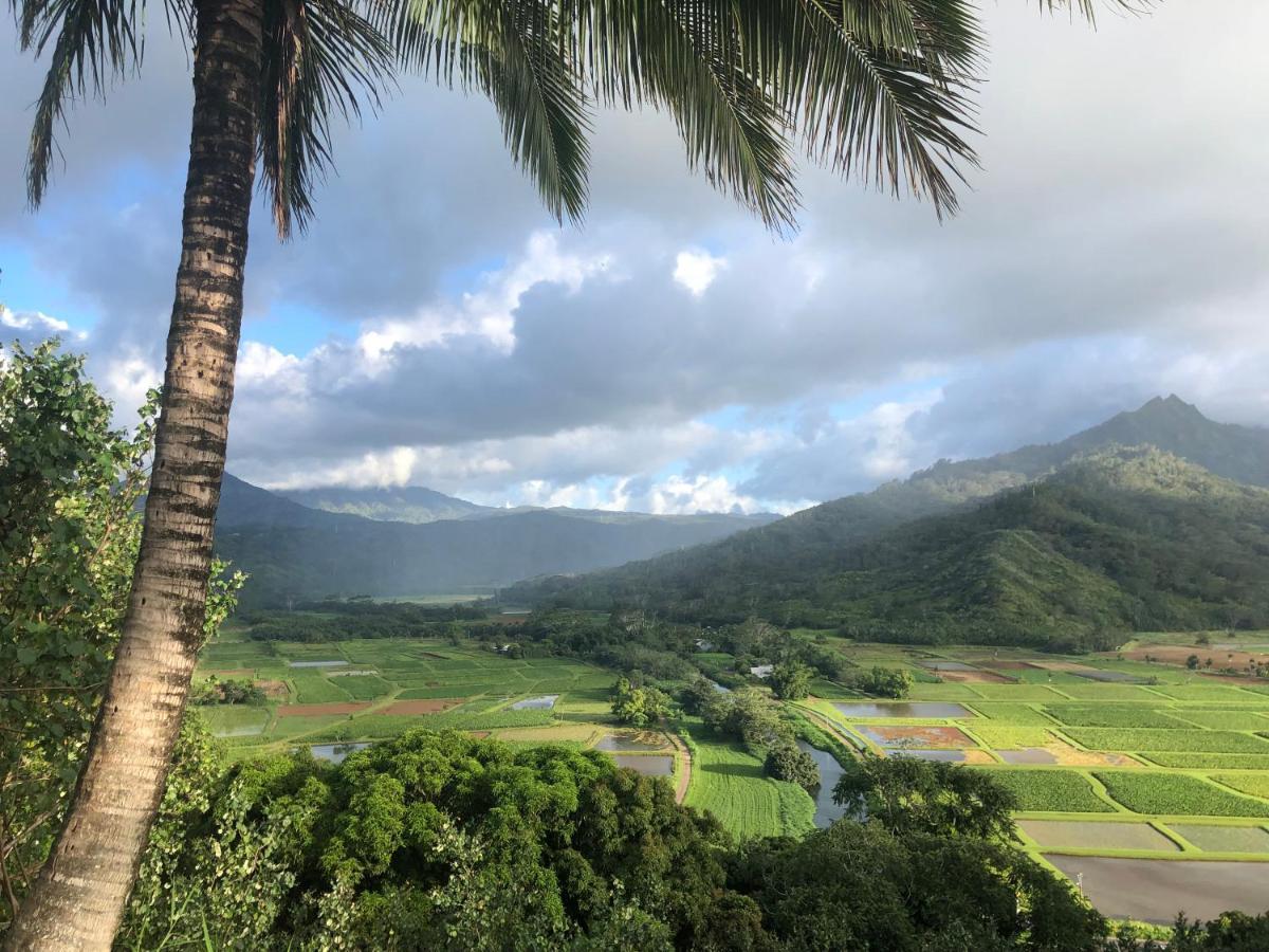 Puu Poa Ocean Bluff Condo, Incredible Views, Walk To Beaches, Pool & Tennis Princeville Exterior photo